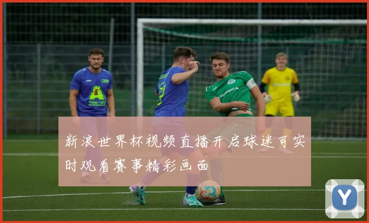 新浪世界杯视频直播开启球迷可实时观看赛事精彩画面